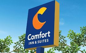 Comfort Inn And Suites Texas City Texas